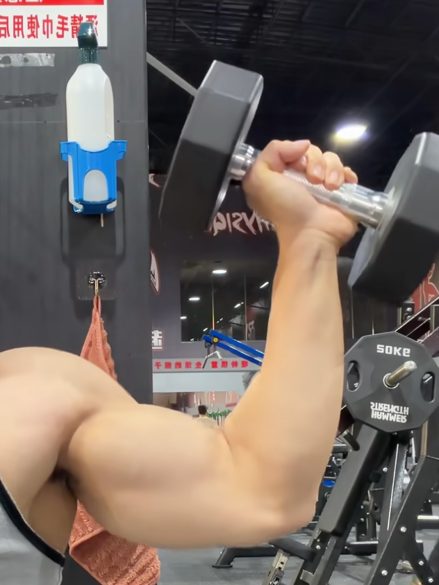 dumbbell_seated_push_wrong_exp2